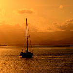 icon Darwin to Ambon